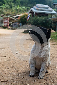 Visiting Ban Huai Haeng (Ban Huay Hom) School, Chiang Rai, Mae Hong Son Loop, mae sariang, Nothern Thailand