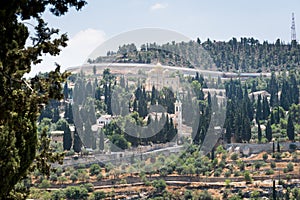 Visiting Ein Kerem in Jerusalem