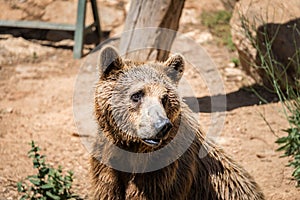 Visiting Jerusalem Biblical Zoo