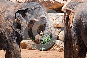 Visiting Jerusalem Biblical Zoo