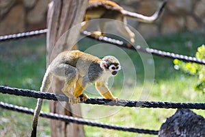 Visiting Jerusalem Biblical Zoo