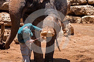 Visiting Jerusalem Biblical Zoo