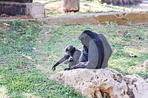 Visiting Jerusalem Biblical Zoo