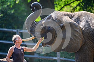 Visit the zoo and see zookeeper caring about shower and mouth hygiene for elephant in Wuppertal, Germany. Confidence, reliabityli