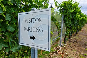 Visitor parking sign vineyard background
