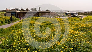 Visitor`s center at Dor Beach National Park with lots of yellow daisies in the Springtime.