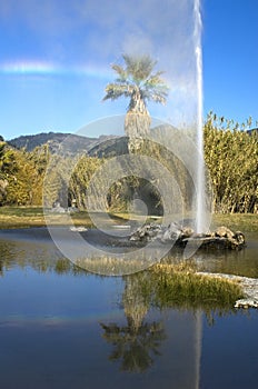 An visitor watches Old Faithful Geyser of California erupts.