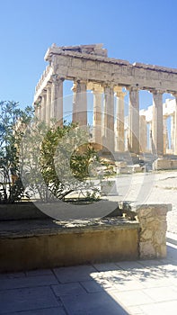 Visitors the Acropolis and The Parthenon