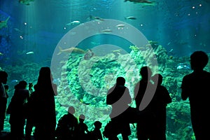 Visitors and aquarium photo