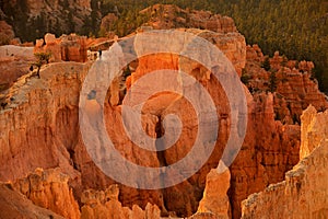 Visitors on the Bryce Canyon hoodoos