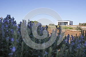 Visitors centre building of Huerta Montero, Spain