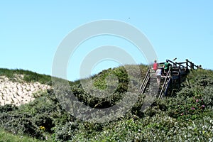 Visitors climbing stairs trough the dunes to reach te coast