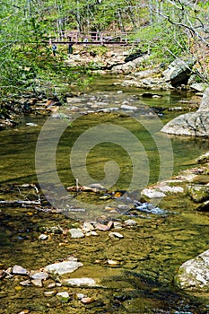 Visitors Enjoy a Day Exploring Jennings Creek