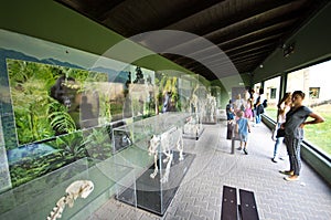 Visitors at exhibit in Zoo Safari, Dvur Kralove, Czech Republic