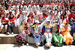 Visitors at the festival