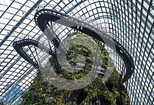 Visitors walk across the sky bridge in the rainforest atrium at the Gardens by the Bay in Singapore.