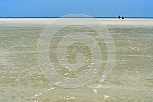 Visitors walking across the mudflats