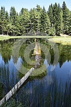 Visitorsko lake Montenegro