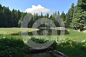 Visitorsko lake Montenegro