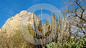 Vista de la PeÃÂ±a de Bernal en Queretaro photo