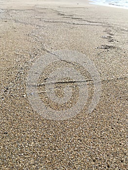 Vista di spiaggia con sabbia e segno delle onde