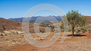 Vista of the Flinders Ranges and Wilpena Pound as seen from the Hucks lookout
