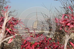 Vista suggestiva Torino - picturesque view of Turin - - Piemonte - Italia photo
