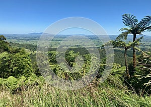 Vista of the Waikato region