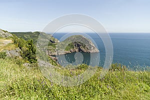 Vistas from along the walking trails of Signal Hill