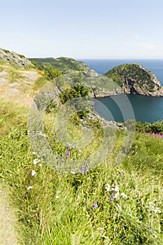 Vistas from along the walking trails of Signal Hill