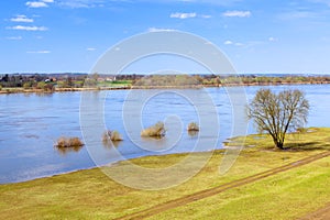 Vistula river scenery with single tree