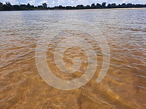 Vistula river wild banks near Warsaw Poland