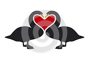 Visual Bodylanguage of Love 2