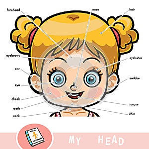 Visual dictionary for children about the human body, girls head