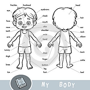 Visual dictionary about the human body. My body parts for a boy