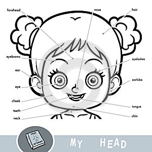 Visual dictionary about the human body. My head parts for a girl