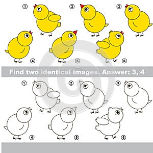 Visual game. Find hidden couple of objects.