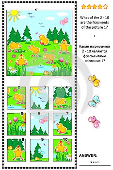 Visual logic puzzle with happy playful chicks feeding outdoor: What of the 2 - 10 are the fragments of the picture 1? Answer inclu