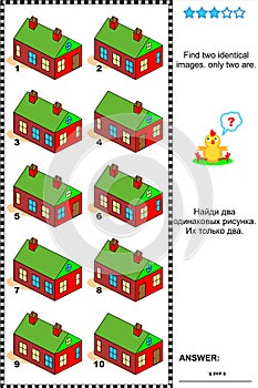 Visual puzzle - find two identical images