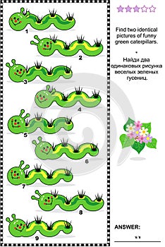 Visual puzzle - find two identical images of caterpillars photo