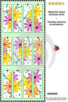 Visual puzzle - match the halves - gerber daisies