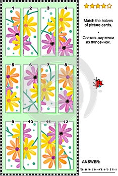 Visual puzzle - match the halves - gerber daisies photo