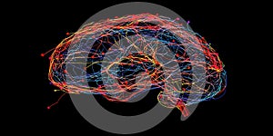 Visual Representation of a Complex Brain Network