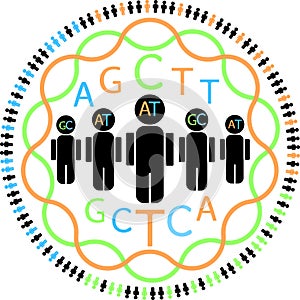 Visual representation of genetic studies in human populations