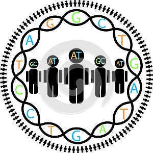 Visual representation of genetic studies in human populations