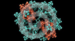 Stunning 3D model of a quaternary protein complex