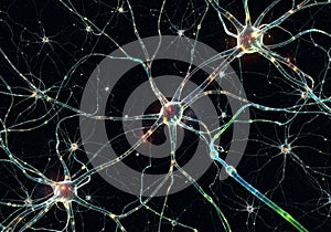 This visualization underscores the intricate and dynamic nature of brain