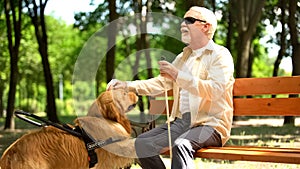 Visually impaired elderly male sitting on bench, stroking beloved guide dog