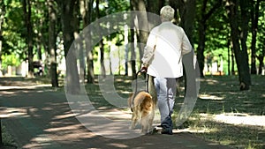 Vizuálne postihnuté muž sprievodca pes v parku cíti trezor držanie postroj 