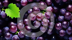 visually sweet grape background photo